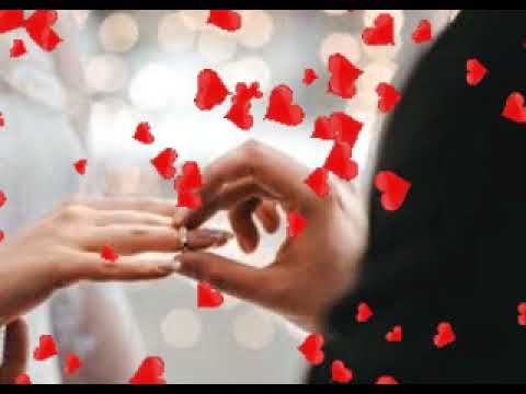 \'ს ი ყ ვ ა რ უ ლ ი ს   ბ ა დ ე\'  მაია სიჭინავა /Author songs maia sitchinava